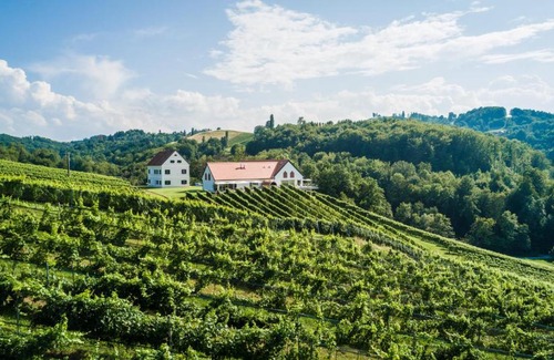 Gamlitz Hotel | Weinschmiede 18'