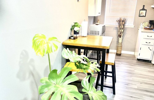 Midtown Apartment | Welcome International Guests, full kitchen, discount shuttle to downtown