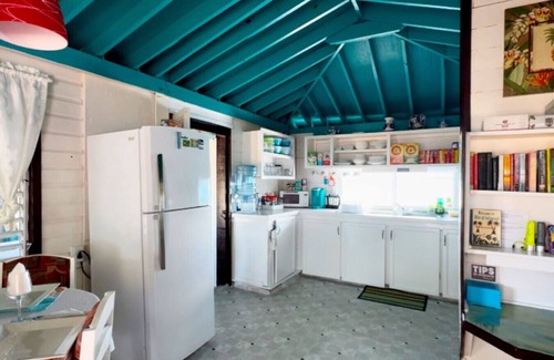 Placencia Apartment | Welcome to Bird Island!