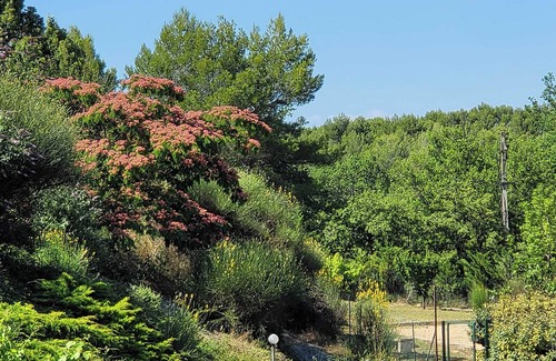Rognes House | Welcome to La Rabouillère, your Provencal getaway.