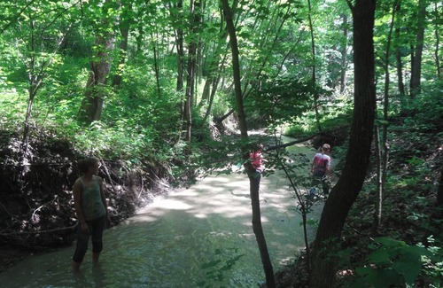 Marseilles RV Rental | Welcome to our magical woods! Relax, unwind a world away but close to home.