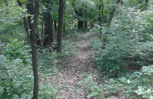 Marseilles RV Rental | Welcome to our magical woods! Relax, unwind a world away but close to home.