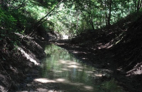 Marseilles RV Rental | Welcome to our magical woods! Relax, unwind a world away but close to home.