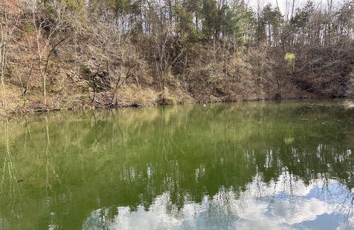 Parker Ford House | Welcome to Sanatoga Springs! Your private lake house.