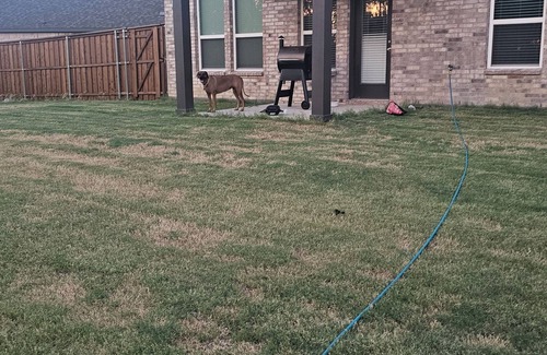 Justin House | Welcome to the Preserve! A charming custom build 3-bedroom house with amenities