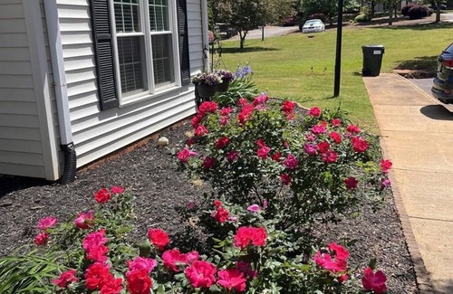 Greenville - Spartanburg House | Welcoming 2-bedroom building in Greenville