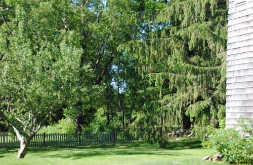 Middletown House | Well designed, Cottage, near Beaches, Sweetberry Farm, Vinyard.