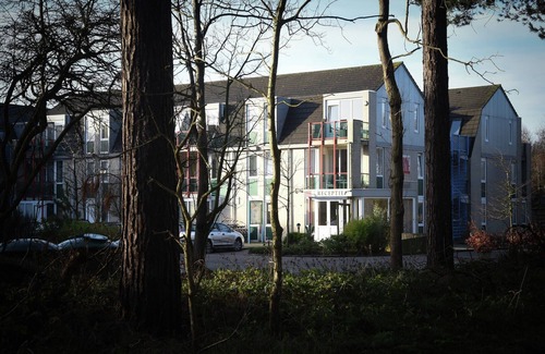 De Koog Apartment | Well-kept apartment a stone's throw from the sea