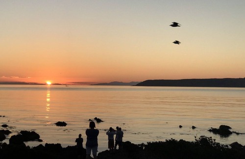 Plimmerton Hotel | Wellington Beach Suite