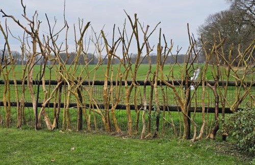 Dieverbrug House | Wellnessloft A Winters Tale