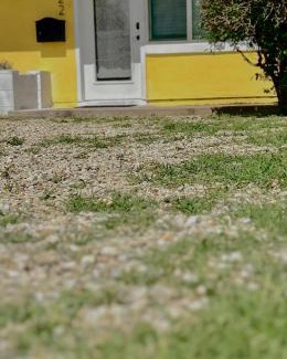 North Park Central House | West Mitchell