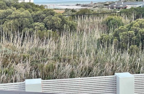 Betty's Bay Villa | Whale Coast Luxury