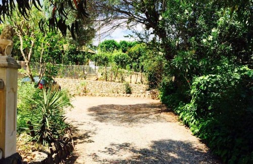 Saint-Aygulf Apartment | When the cicadas wake up: Eucalyptus