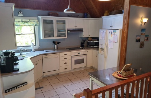 Duck House | Where the green trees meet the blue seas! Short walk to the beach & pet friendly