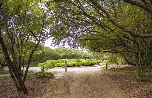 Duck House | Where the green trees meet the blue seas! Short walk to the beach & pet friendly