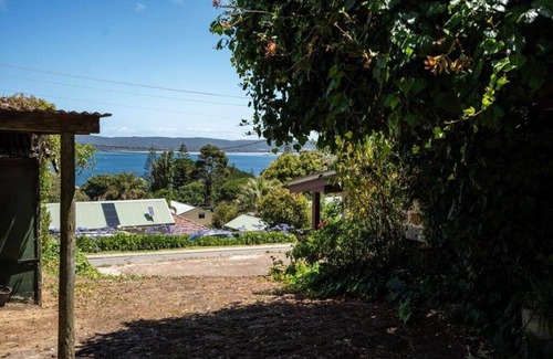 Albany House | Whispering Pines - a century old tale