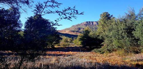 Elandskop House | Whistling Woods Cabin