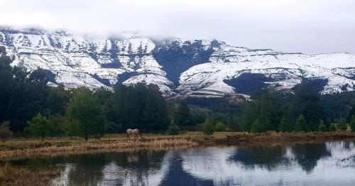 Elandskop House | Whistling Woods Cabin