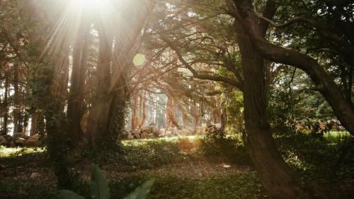 Red Hill House | White Hill Cottage