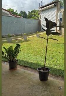 Dodangoda Villa | White home