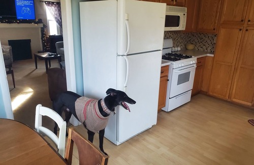 Westlake House | Whole 3 Bedroom Home Near Lake, Airport, and Cle