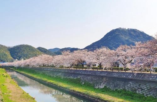 Tottori Apartment | Whole house rental 一棟貸切宿 "Your Home Tottori" 市内中心地近くの素敵な一軒家