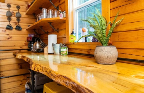 Campton Apartment | WiFi & Minimalist - Cozy Creek -Red River Gorge KY