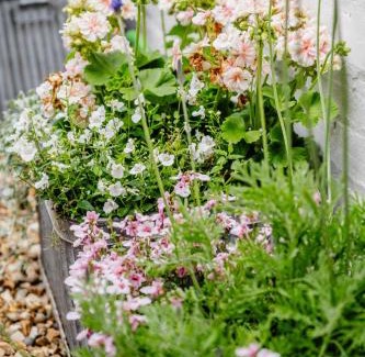Aldeburgh House | Wigeon Cottage, Aldeburgh - Sleeps 4 - Adults only house