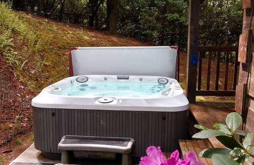 Lansing Cabin | Wil-deer-ness Cabin- Secluded-Firepit-Hot Tub-WiFi-Dog Friendly