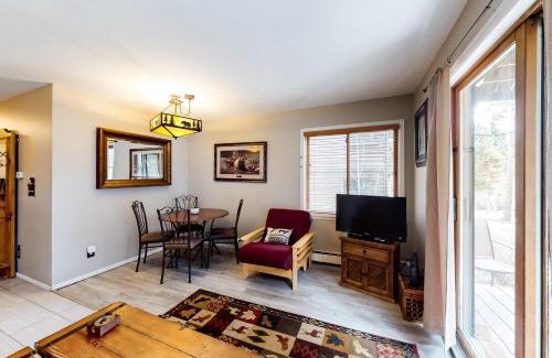 Breckenridge Apartment | Wild and Free Condo 102