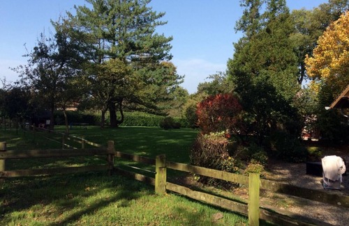 Pierrefiques House | Wild Hazelnuts