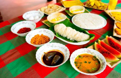 Habarana Bed & Breakfast | Wild Hut Habarana