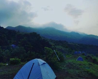 Vagamon Other | Wild Jacket