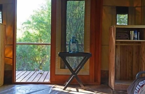 Thorny Bush Game Reserve Other | Wild Olive Tree Camp