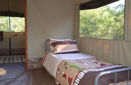 Thorny Bush Game Reserve Other | Wild Olive Tree Camp