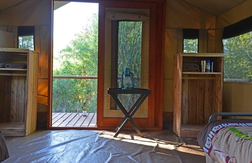 Thorny Bush Game Reserve Other | Wild Olive Tree Camp