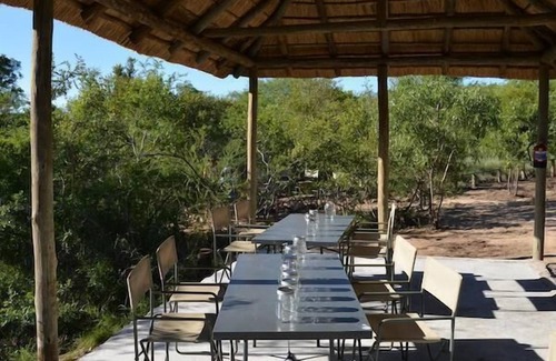 Thorny Bush Game Reserve Other | Wild Olive Tree Camp