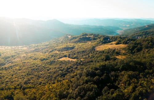 San Costantino Albanese Other | Wild Orchard Farm