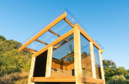 San Costantino Albanese Other | Wild Orchard Farm