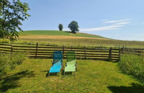 Mirchel House | Wild Wild Arnistein