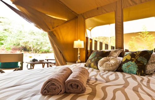 Nairobi Other | Wildebeest Eco Camp