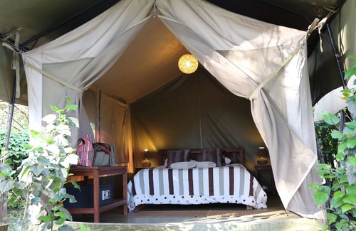 Nairobi Other | Wildebeest Eco Camp