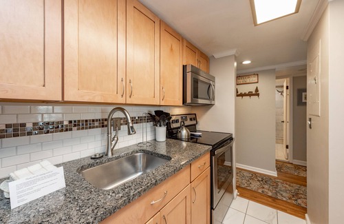 Thayerville Condo | Will O' The Wisp 201B: Lakefront One Bedroom Condo with 2 Balconies, Peaceful La