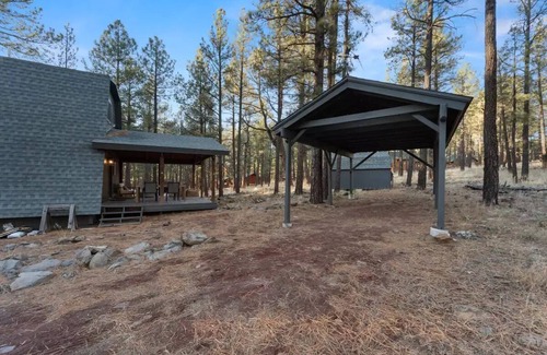 Williams Cabin | Williams NEW in the Pines - Grand Canyon Getaway!