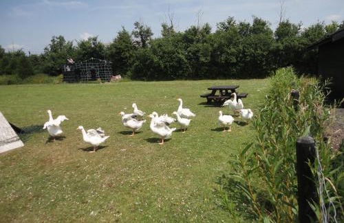 Fifield House | Willow Court Farm-Studio North & Petting Farm, 8 mins from Legoland & Windsor, 15 mins from Lapland UK