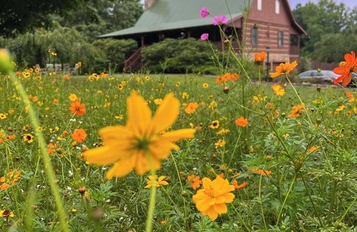 Damascus Cabin | Willow Tree Retreat Damascus, VA