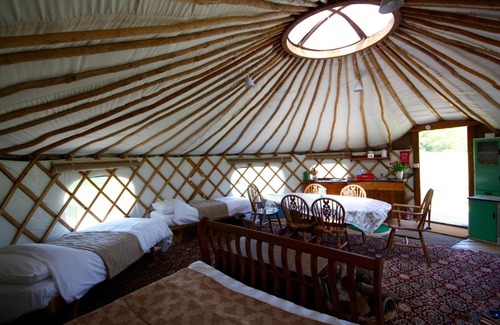 Haslemere Other | Willow Yurt