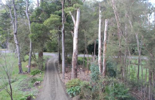 East Warburton House | Willows Cottage