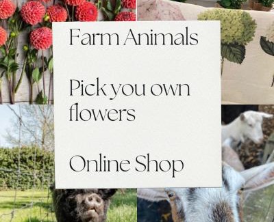 Lincoln House | Willowtree Cottage Gated Country Luxury Near Lincoln Uni & Wedding Venues