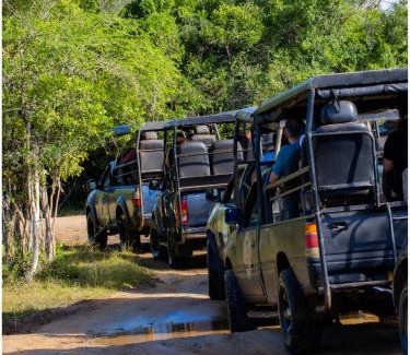 Nochchiyagama Bed & Breakfast | Wilpattu Safari Resort